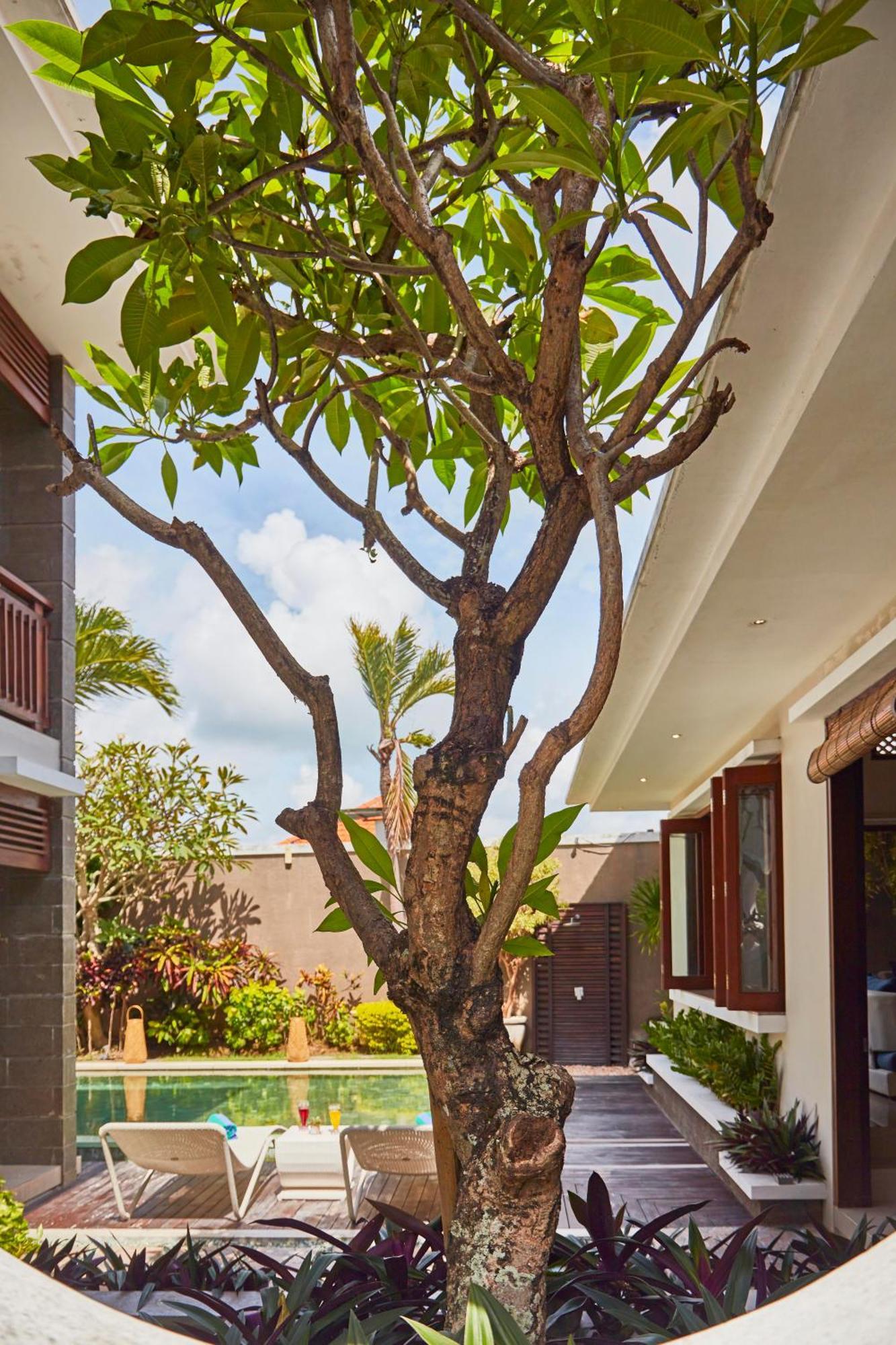 Dreamscape Bali Villas Canggu Экстерьер фото